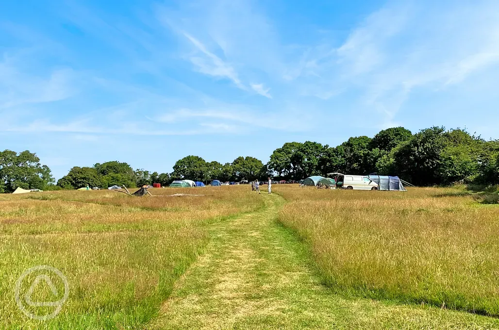 Non electric grass pitches