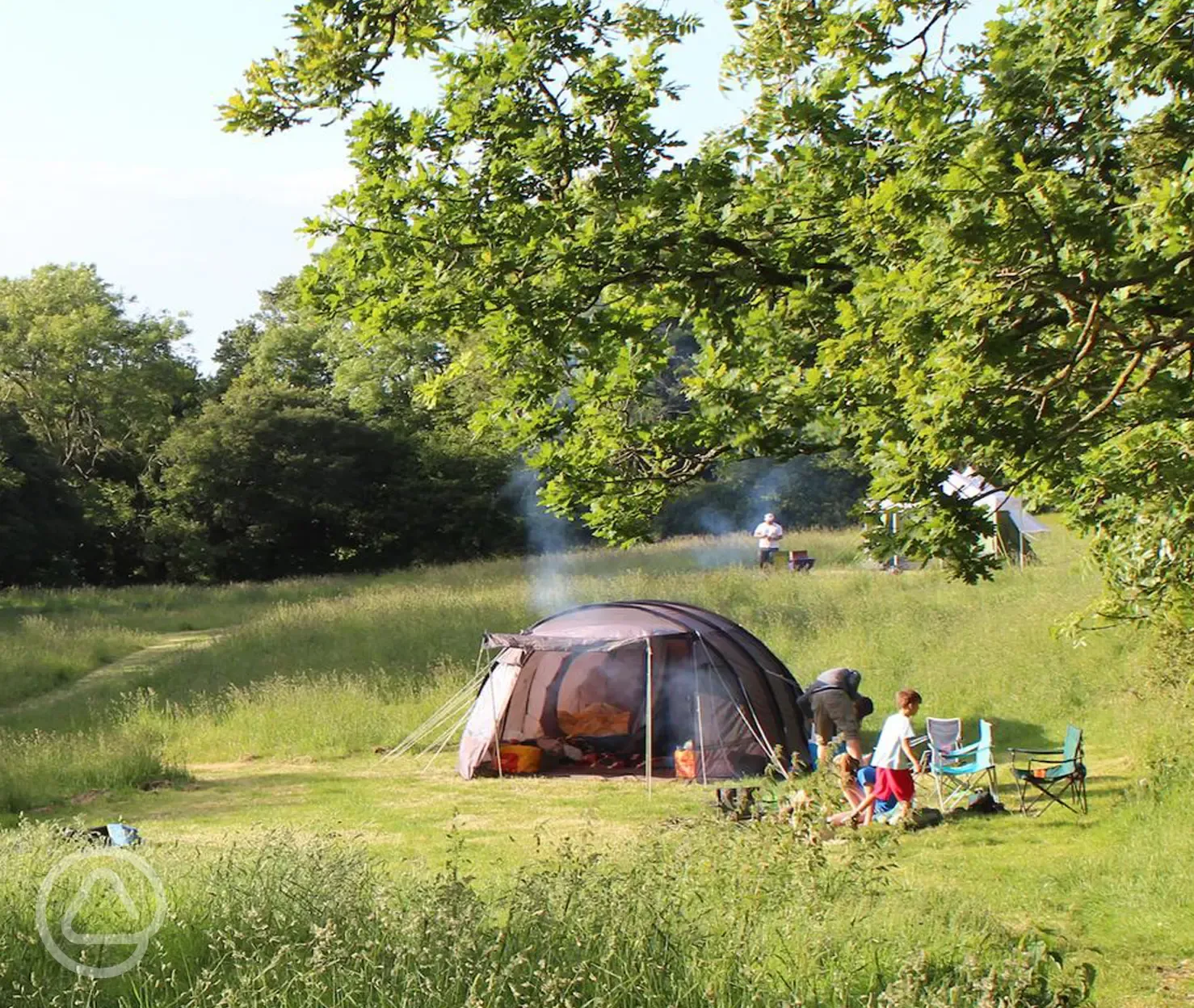 Camping in the meadow