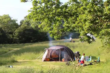Camping in the meadow