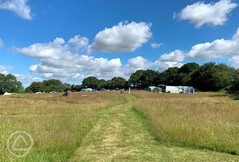 Non electric grass pitches