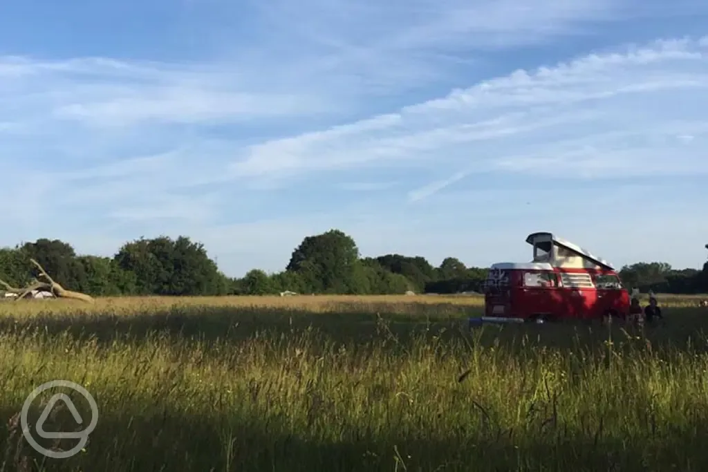 Non electric grass pitches