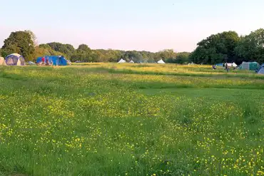 Non electric grass pitches