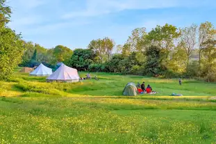 The Sunny Field, Stelling Minnis, Canterbury, Kent (18.5 miles)