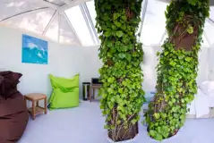 Atlantic treehouse interior