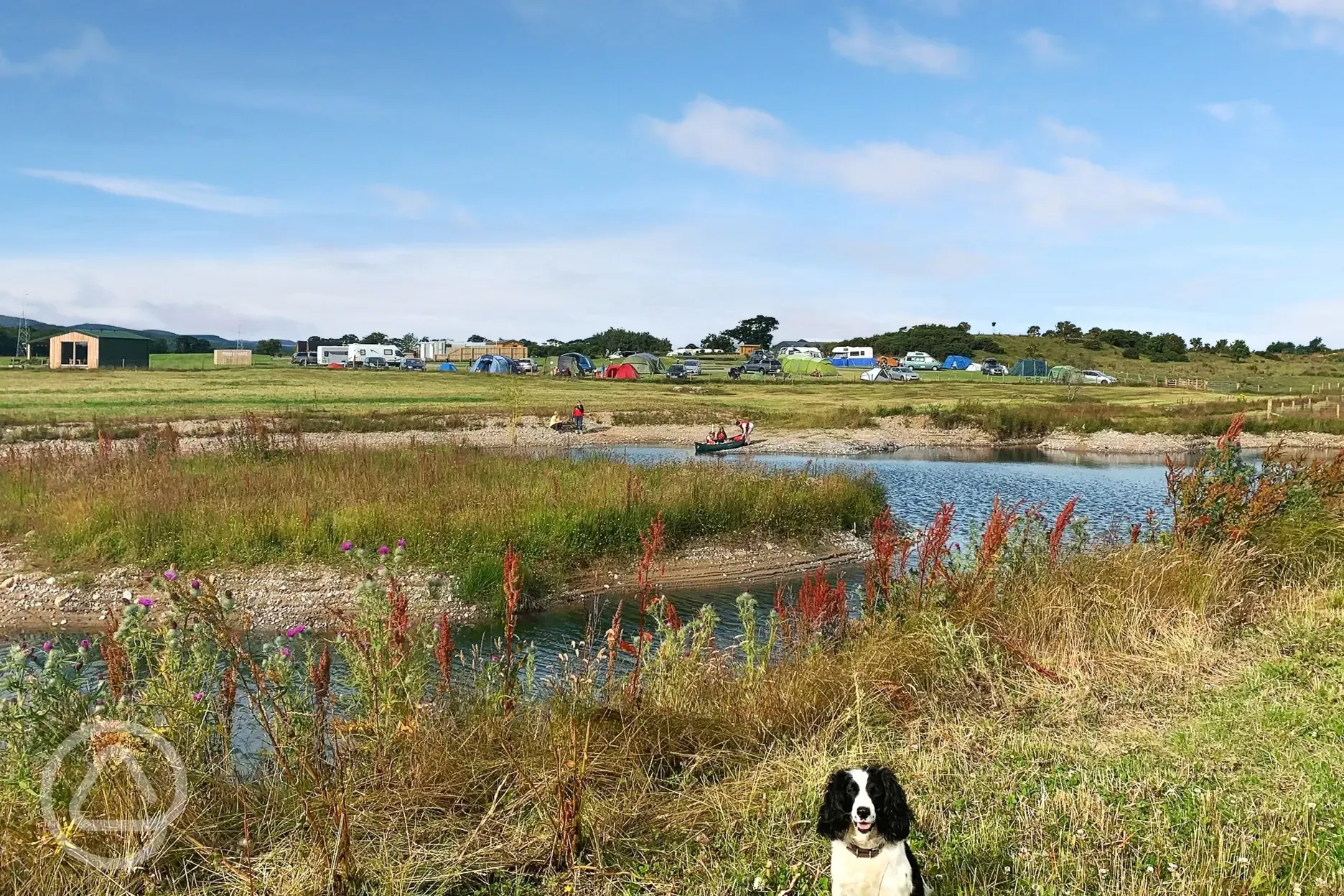 Onsite pond and dog friendly pitches at Barrow Campsite Nairn