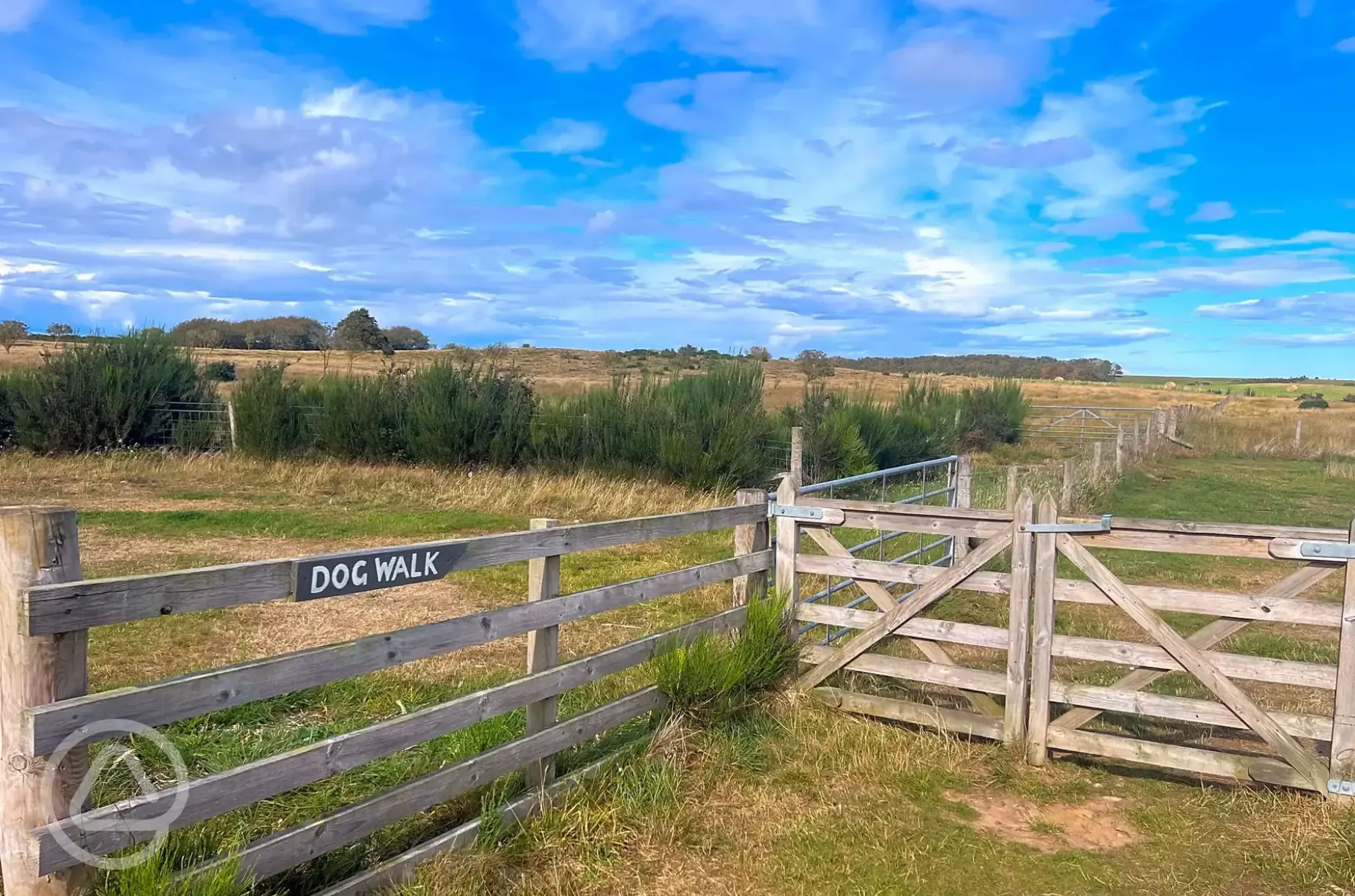 Enclosed dog walking area at Barrow Campsite Nairn