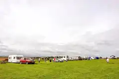 Electric grass pitches