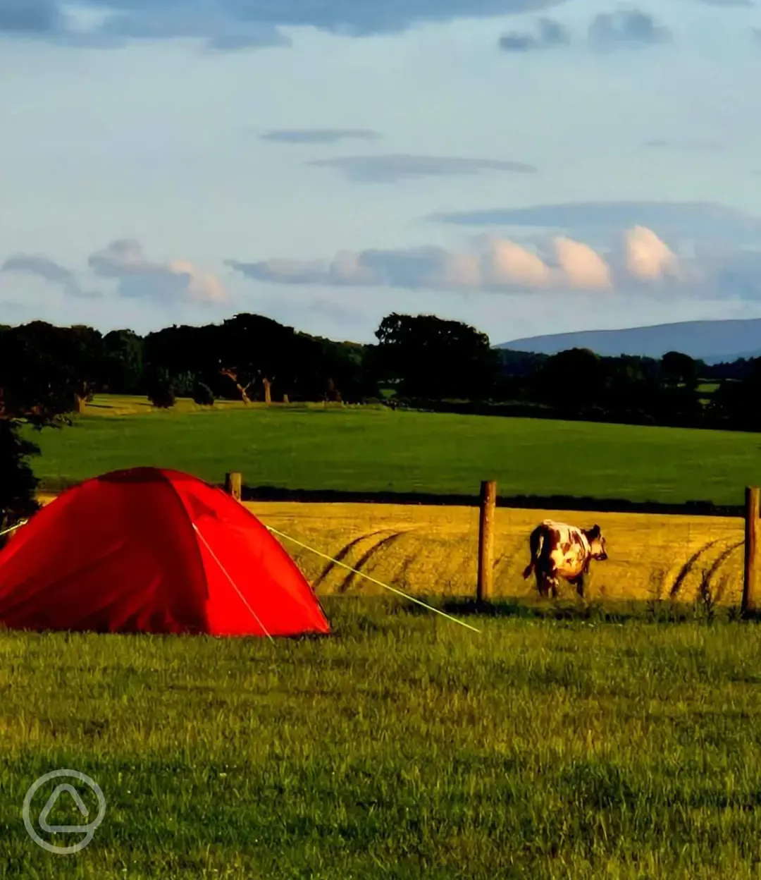 Camping field