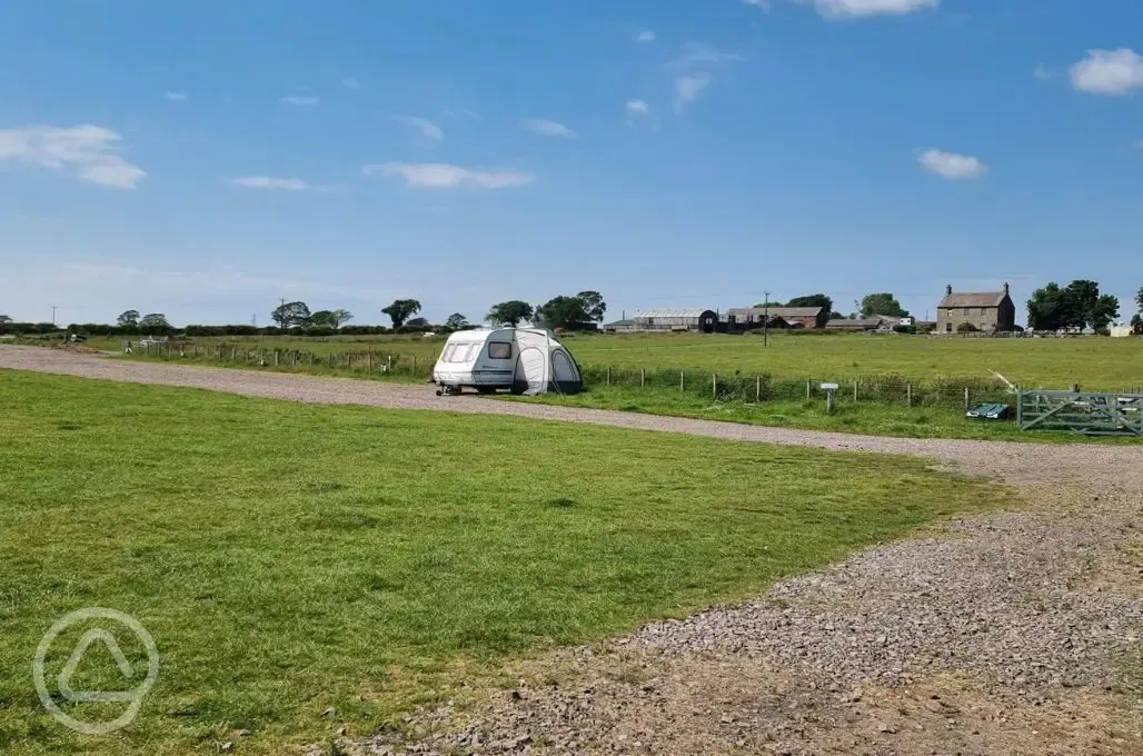 Electric grass pitches
