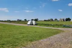 Electric grass pitches
