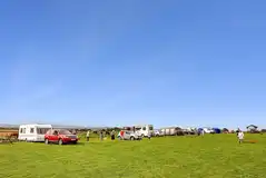 Electric grass pitches