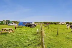 Electric grass pitches