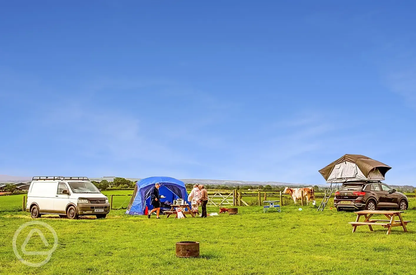Electric grass pitches
