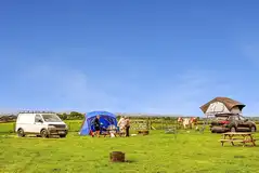 Electric grass pitches