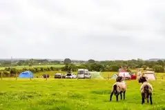 Non electric grass pitches