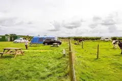 Electric grass pitches