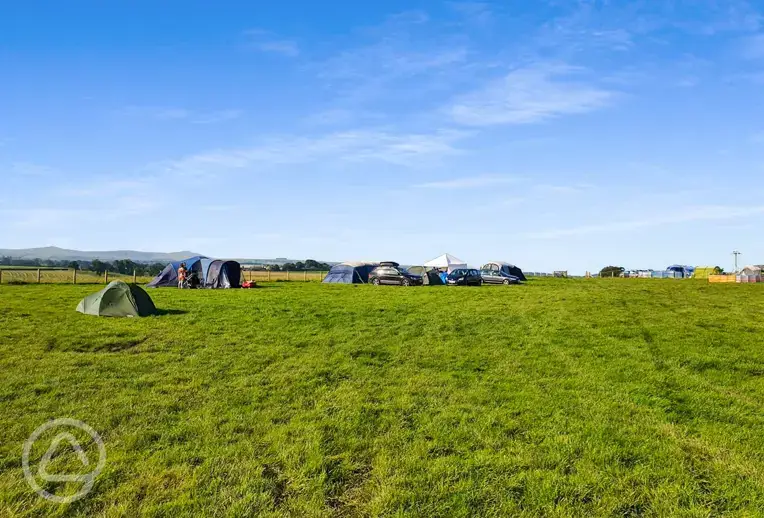 Grass camping field