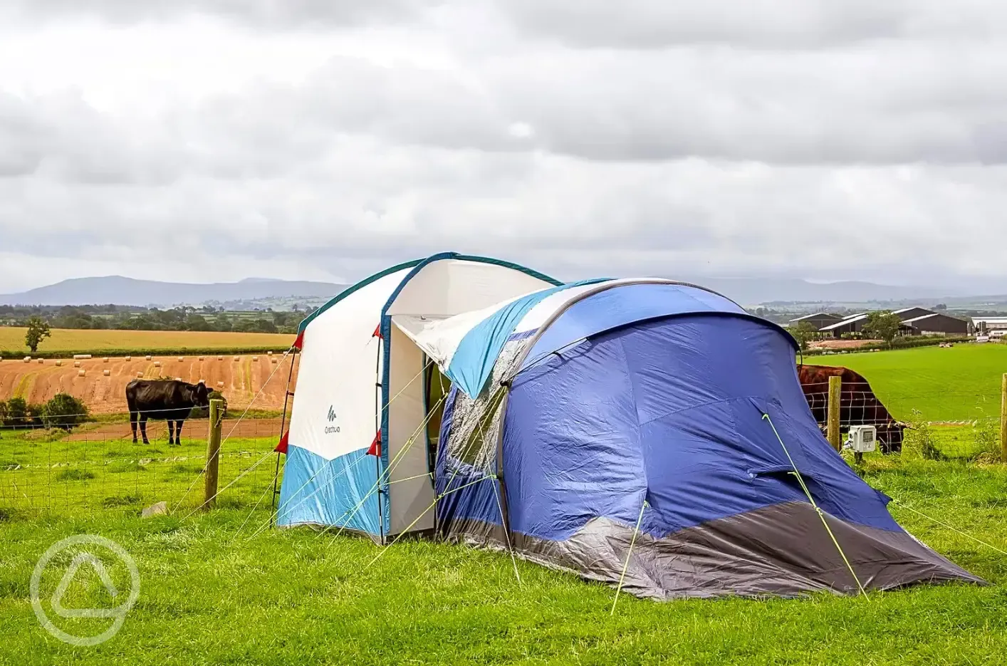 Electric grass pitches