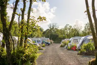 The Buttles Caravan Park, Begelly, Kilgetty, Pembrokeshire