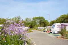 Electric hardstanding pitches