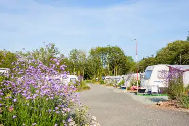 Electric hardstanding pitches