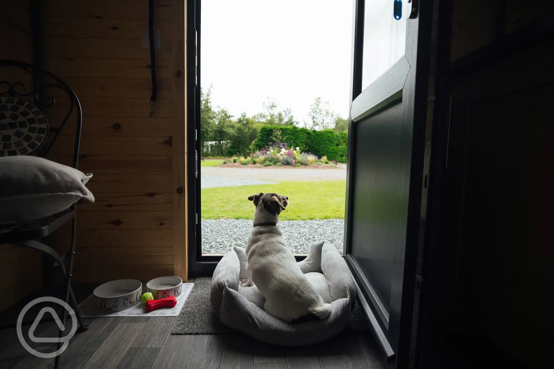 Dog friendly hut view