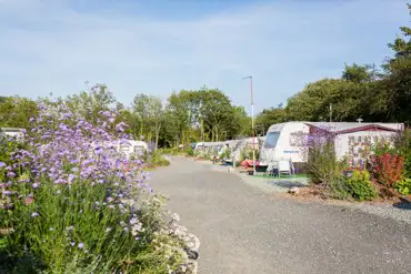 Caravan pitches at The Buttles