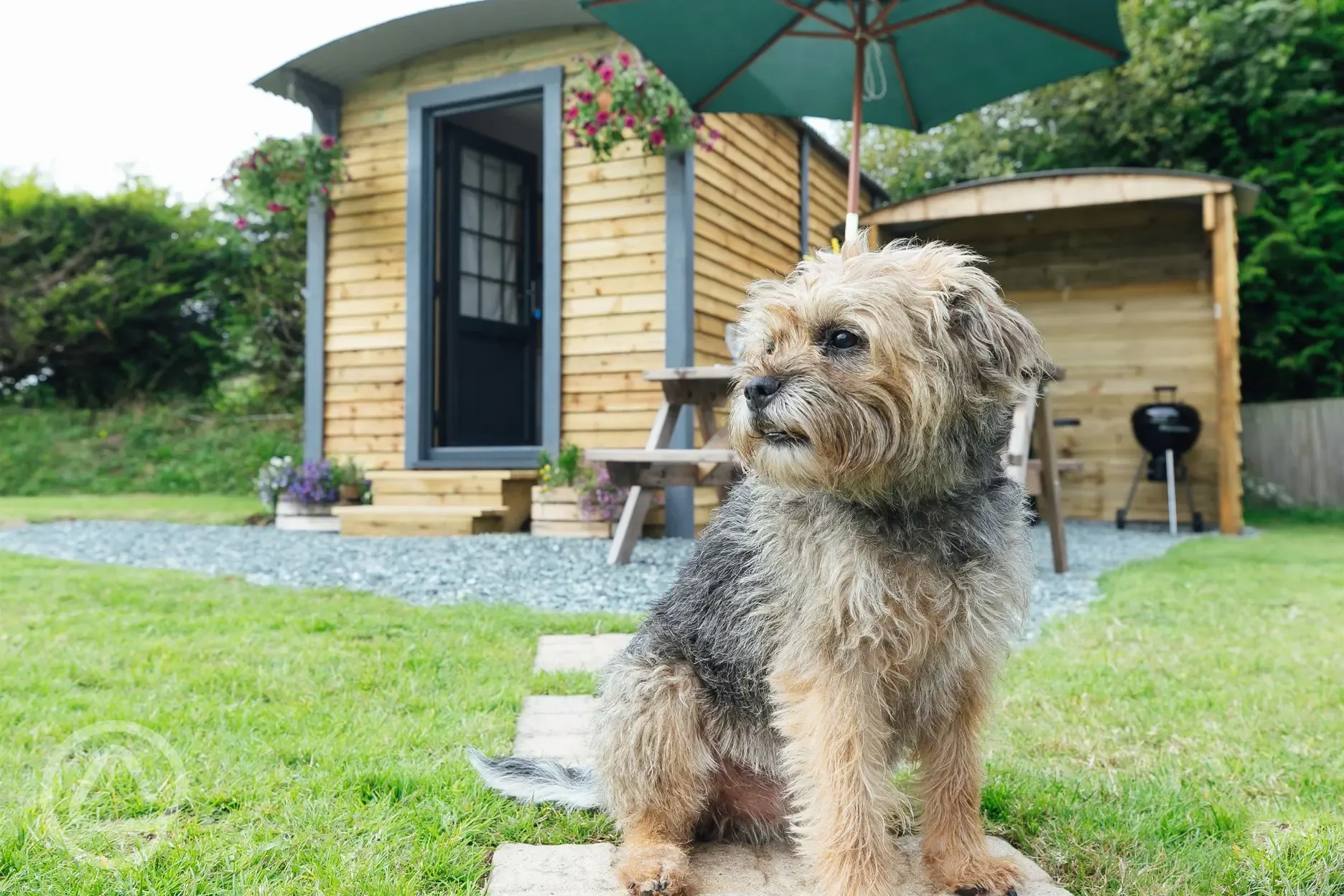 Dog friendly hut