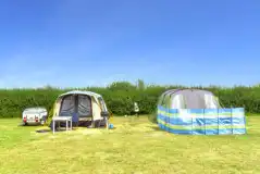 Electric grass pitches
