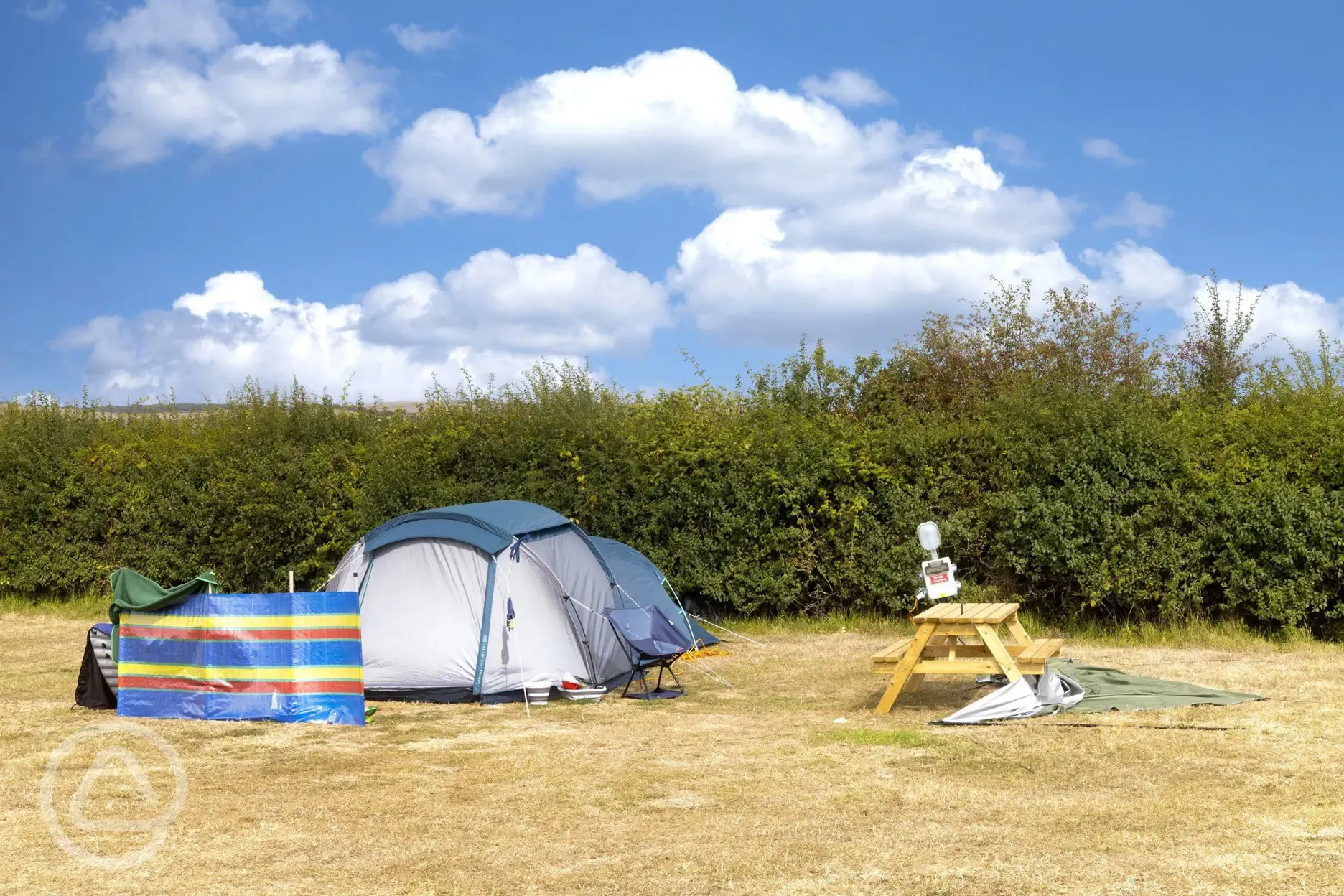 Electric grass pitches