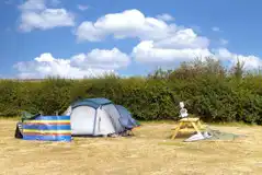 Electric grass pitches