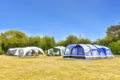 Electric grass pitches