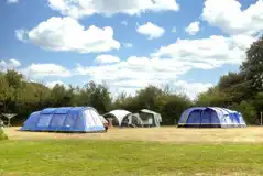 Electric grass pitches
