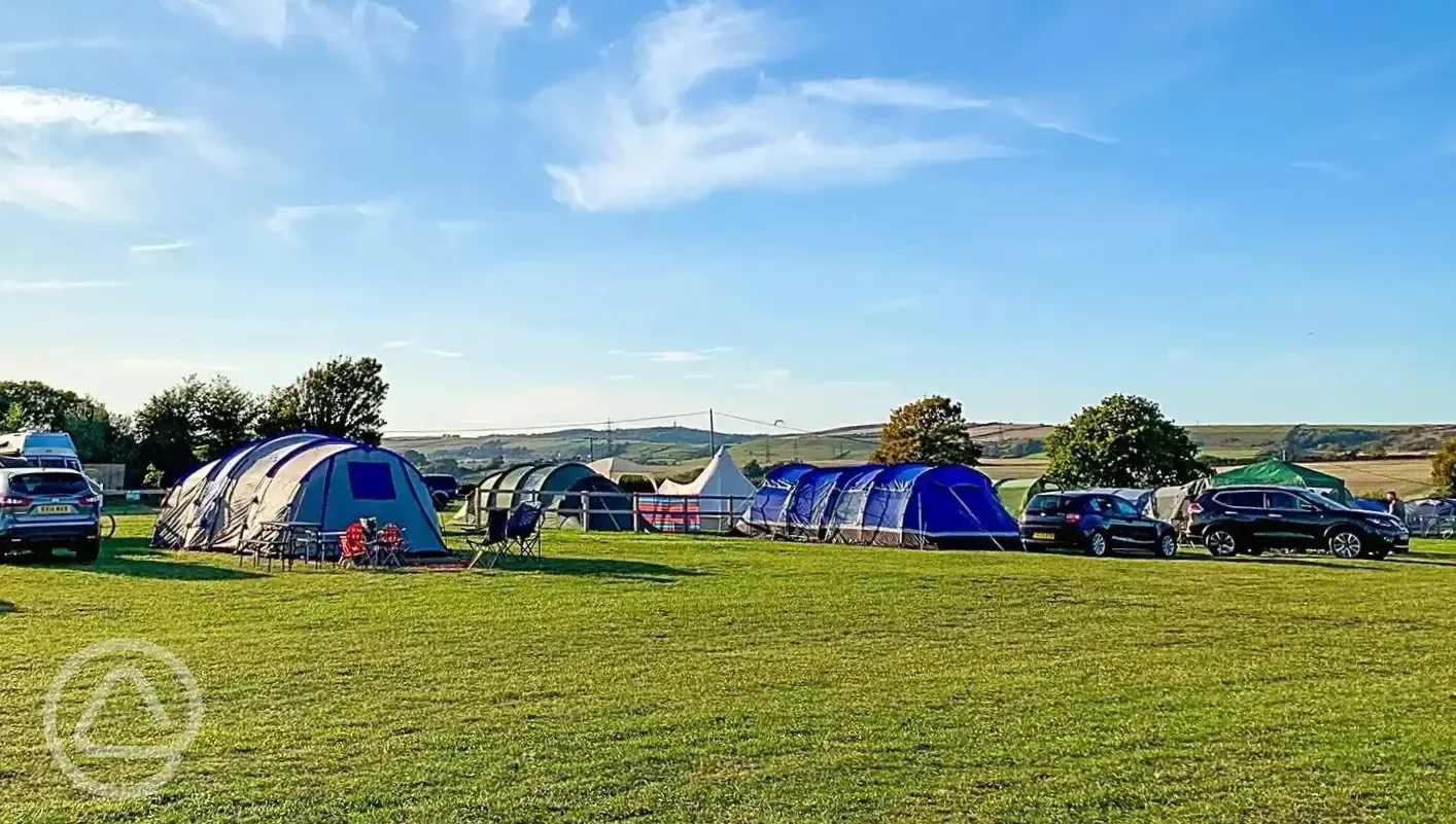 Electric grass pitches