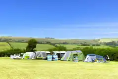 Electric grass pitches with a 6 amp electric hook up 