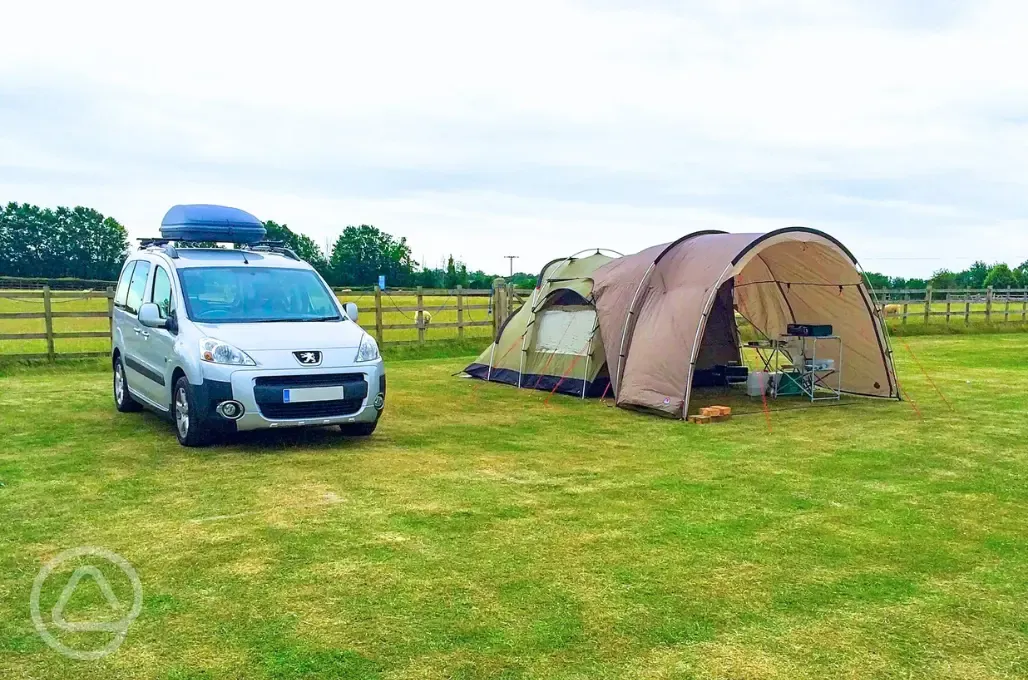 Electric grass tent pitches