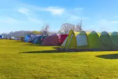 Electric and non electric grass pitches at New Lodge Farm