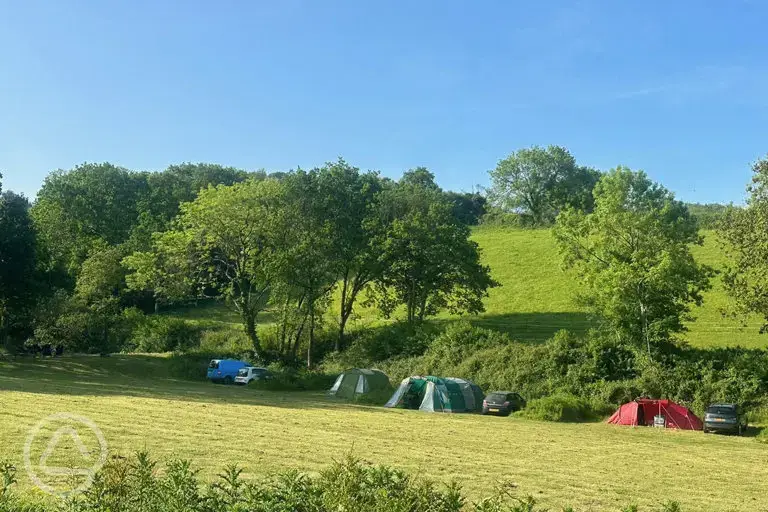 Non electric grass pitches