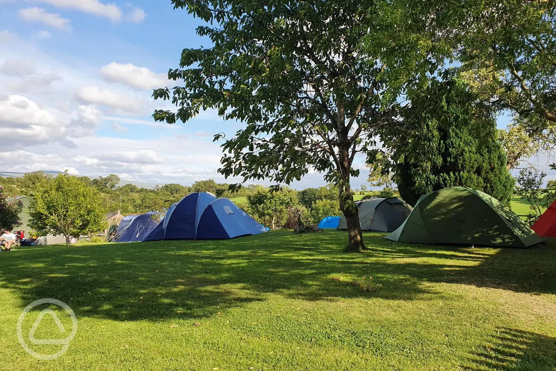 Camping in the orchard 