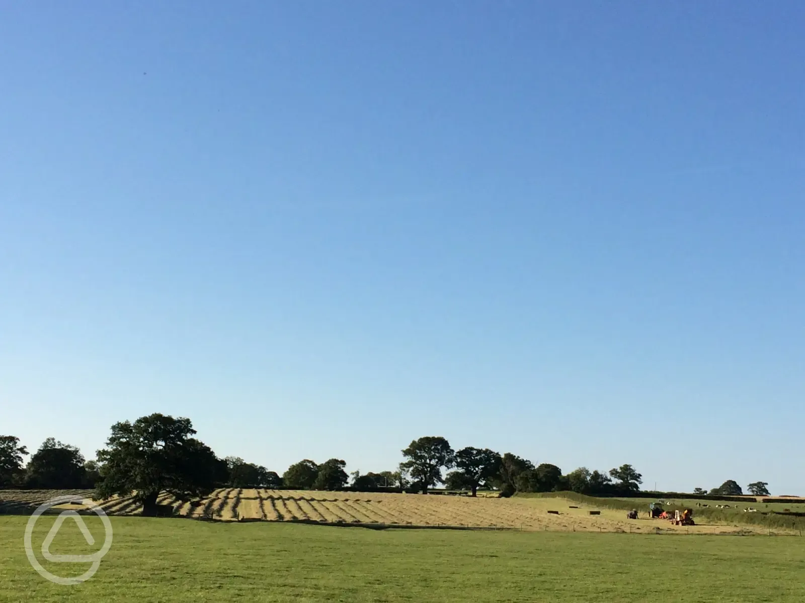 Haymaking in the glorious sunshine