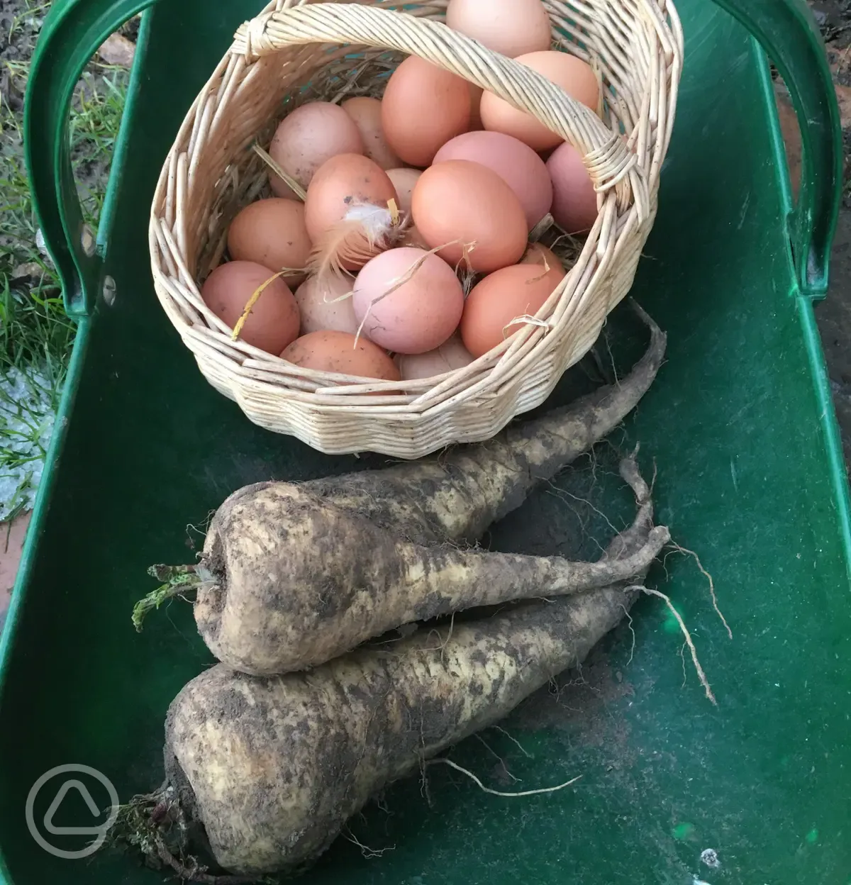 Marton Farm eggs and produce
