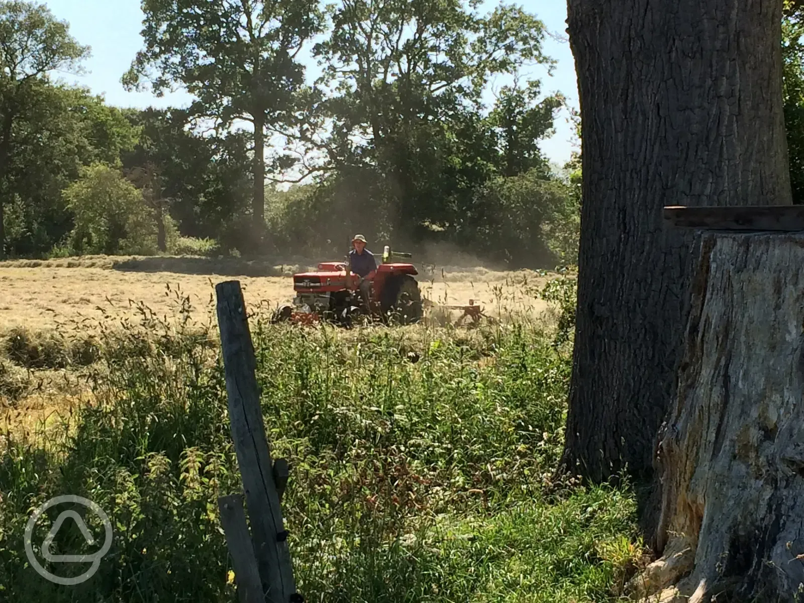 Haymaking with the little red tractor