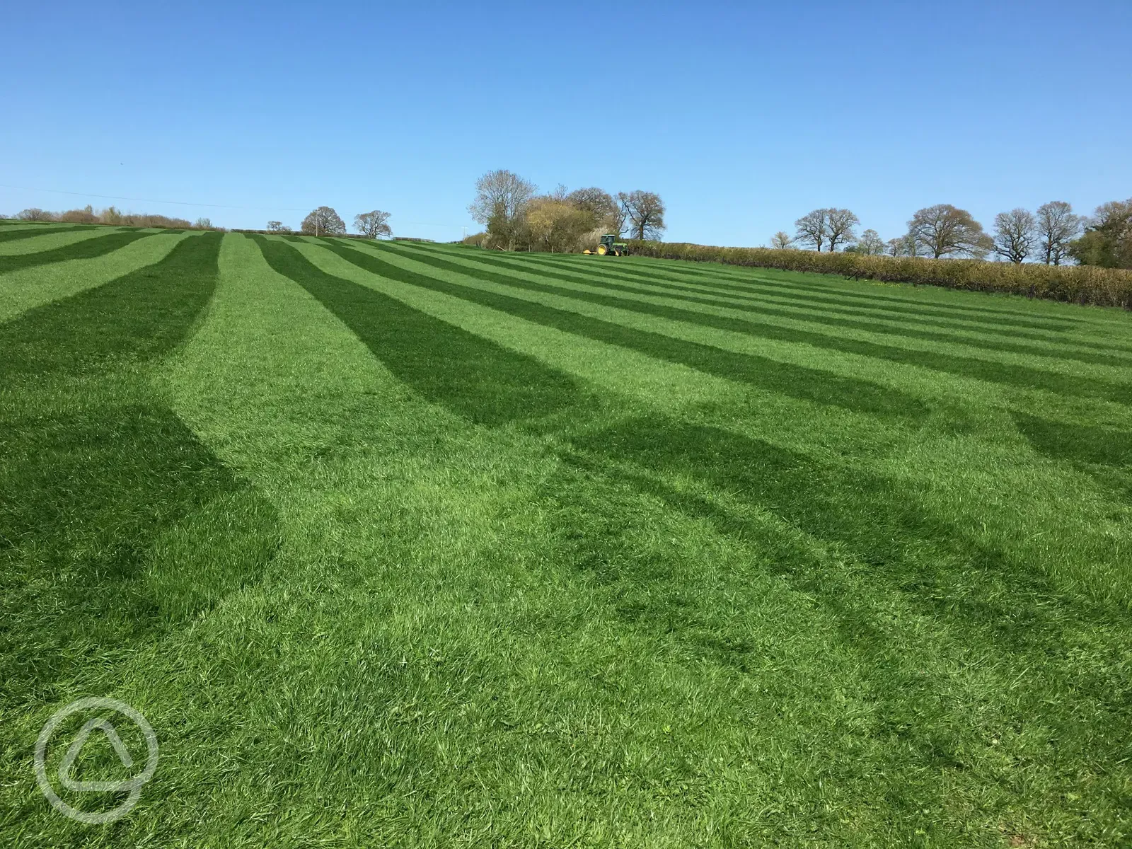 The luscious green field with stripes after being rolled
