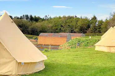 Bell tents and luxury glamping pods