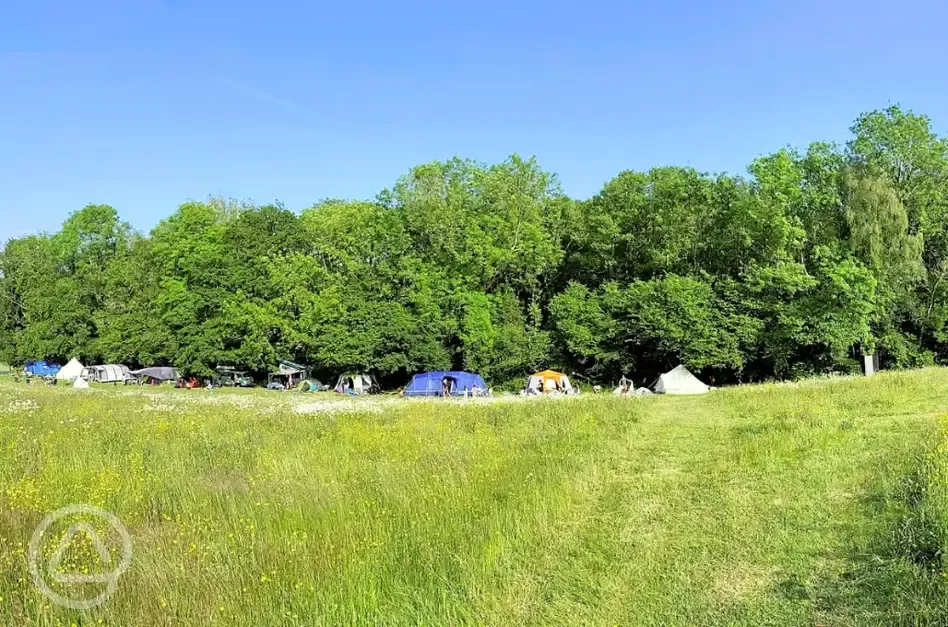 PopUp Woods and Meadows Campsite in Hastings, East Sussex