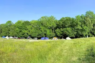 Pop-Up Woods and Meadows Campsite, Hastings, East Sussex (3 miles)