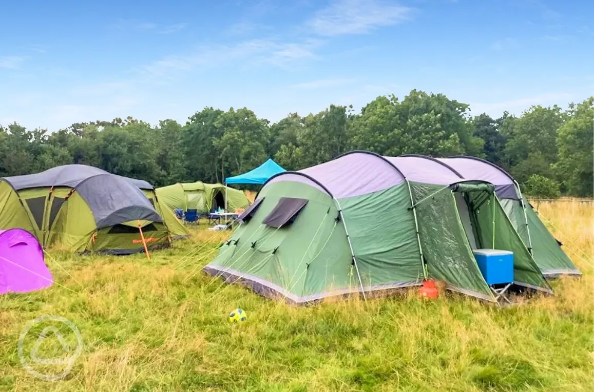 Non electric grass tent pitches