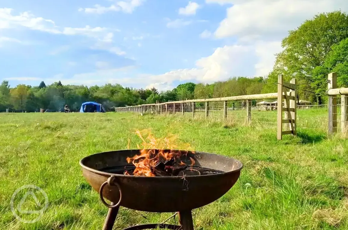 Non electric grass tent pitches and fire pit