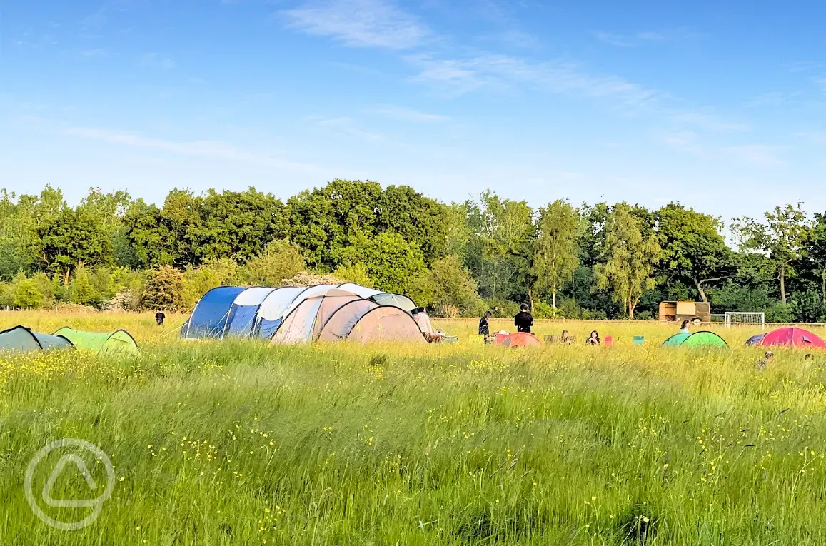 Non electric grass tent pitches