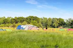 Non electric grass tent pitches